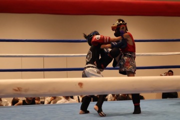 2E80A735-5F6D-44B2-92B2-71B20DDFFB4C